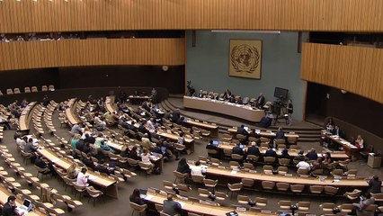 Argentina: Statement made at the Preparatory Committee of the Third UN World Conference on DRR