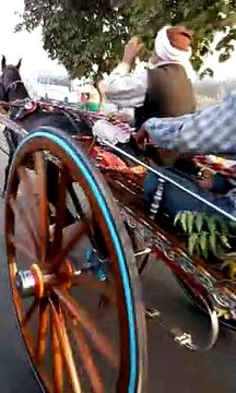 Tanga Horse Race in Delhi 2015 Khalifa Braham Pehlwan Horse Winner of Race