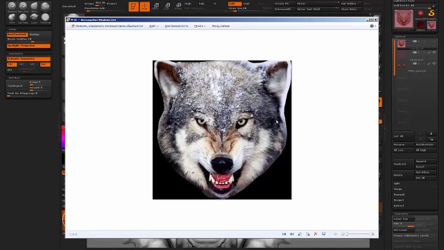 Angry Wolf bas-relief. Zbrush sculpting