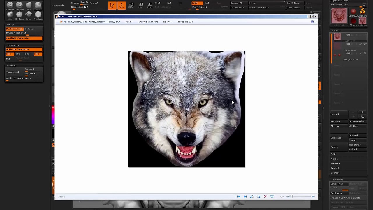 Angry Wolf bas-relief. Zbrush sculpting