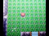 How to get Shiny Pokemon using the PokeRadar (Pokemon Diamond)