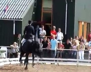 Jenny Veenstra met de Friese Hengst Hoppe  Z2 "Kür op Muziek"  in Reusel