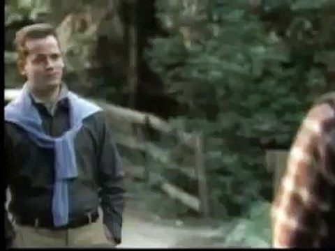 Banned Superbowl Commercial XXXVIII Bud Light Good dog Bad Dog