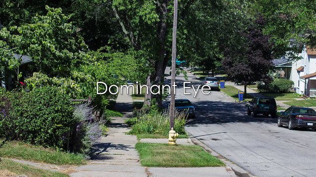 Amblyopia: Advanced Treatment for Lazy Eye (Wow Vision Therapy)