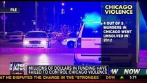 Michelle Malkin on Chicago Gun Violence with Megyn Kelly - Fox News