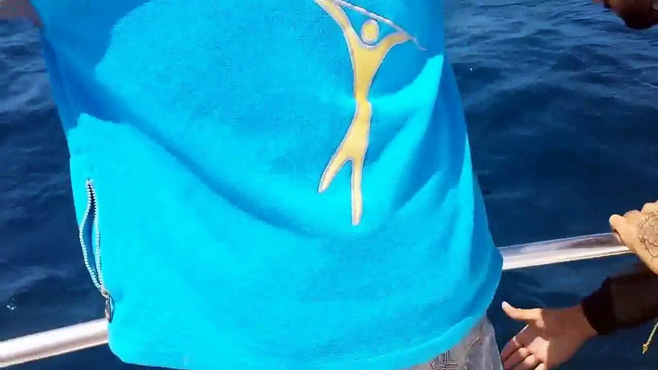 Growling screaming shark - Shark fishing in Por...