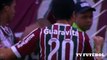 Fluminense 1 x 0 Grêmio - GOLS - Brasileirão Serie A