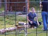 Tigerunge Næstved ZOO får sutteflaske af Philip