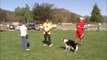 Disc Dogging with Mark Muir - San Diego Dog Training