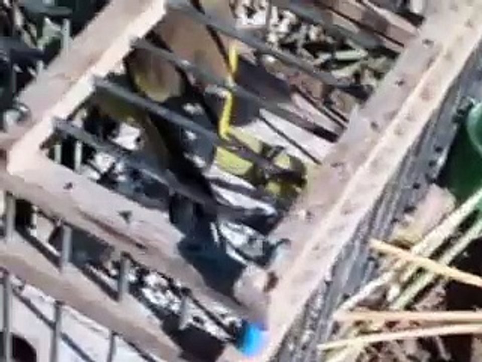 صياد الطيور : سطيلة
