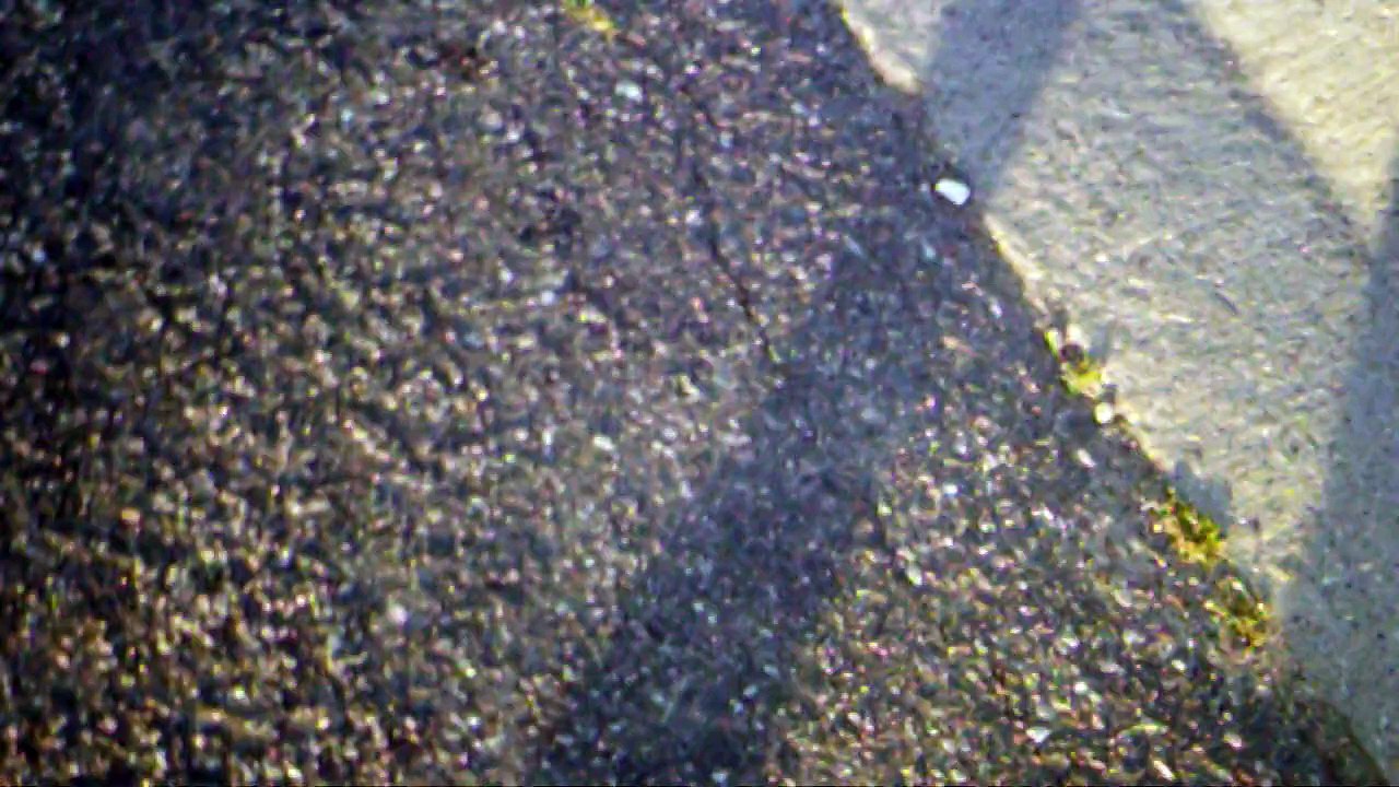 The Walk part 1
