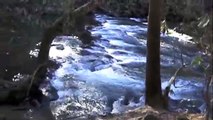 Abrams Falls, Cades Cove, Great Smoky Mountains NP
