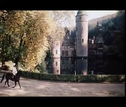 Das Wirtshaus im Spessart 10 von 11