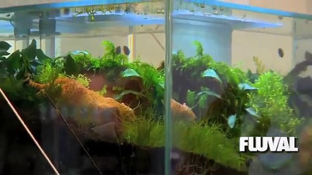 Blue Zoo interviews FLUVAL's Robert Reid at Interzoo