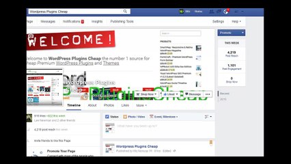 wordpress plugins cheap