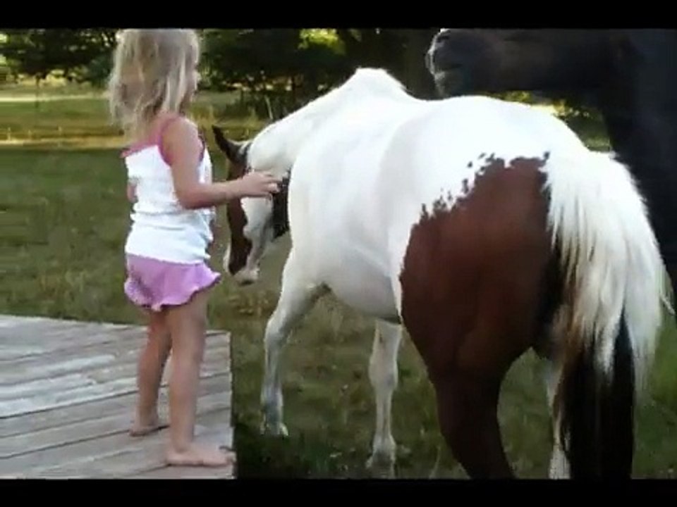 Horses and kids having fun