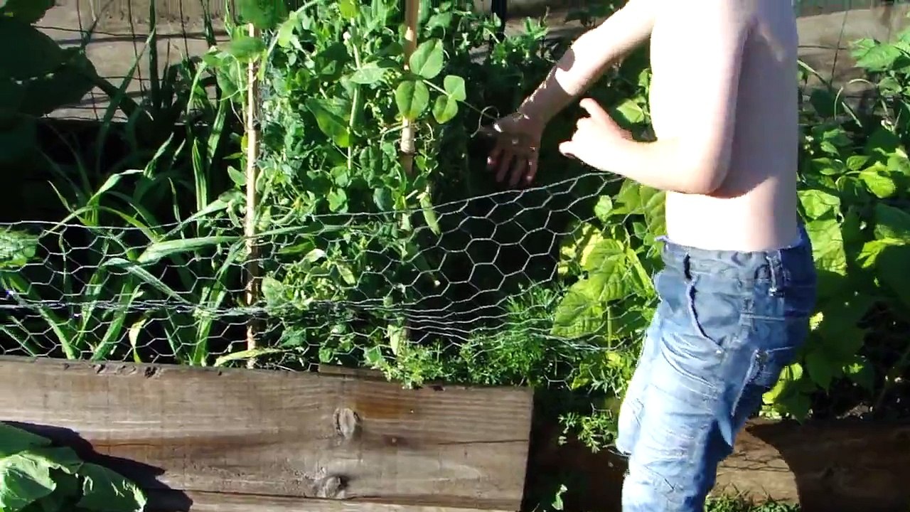 Franck présente son potager