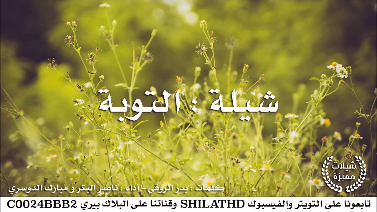 شيلة : التوبة - أداء ناصر البكر و مبارك الدوسري | أصلي + مسرع | #شيلات #صوتيات