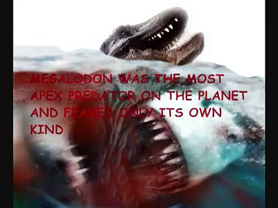 Megalodon Great Fish (KILLER)