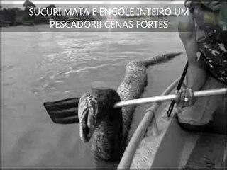SUCURI MATA E ENGOLE INTEIRO UM PESCADOR!! CENAS FORTES