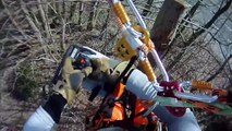 Tree Topping - Dead Tree Removal  - Tree climbing - using 2 tie-in points - Topkapning
