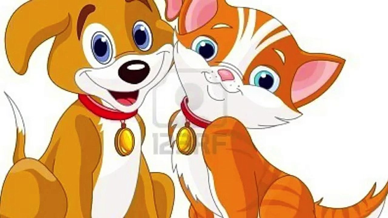 Cats and Dogs Song