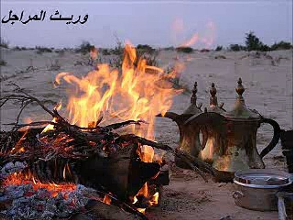 رواح هادي بن جابر المري - وجودي على زيد لماهم
