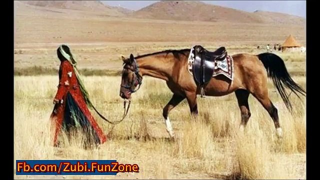 بہت ہی خوبصورت ویڈیو لازمی دیکھیں اور شئیر کریں