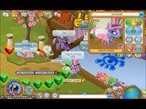 Animal jam ~ Betting with friends :D SO MANY BETAS :O