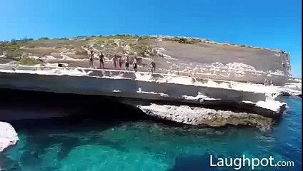 Little dog having fun!