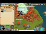 Animal Jam Glitches: How to be a land animal in the Eagle Adventure!