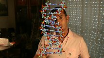 Diferencias químicas y estructurales entre ARN y ADN