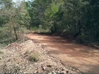 Best yamaha warrior 350 ride! (really worth watching)