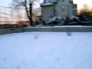 hannah in the snow again