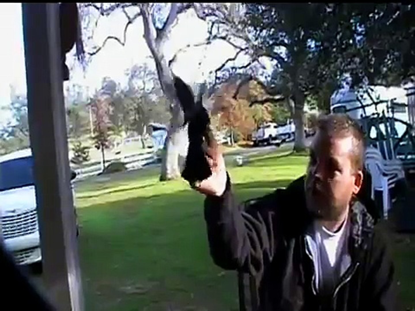 Wild Bird Attacks Innocent Human Victim. (5th Video)