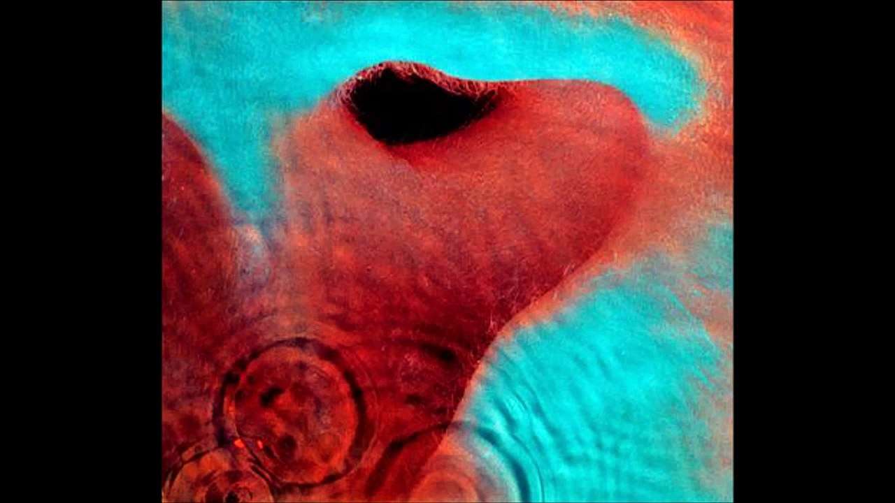 Fearless- Pink Floyd Lyrics