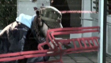 VINCENT (Starry Starry Night)