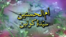 masooma sherazi  prog on bibi zahra s.a