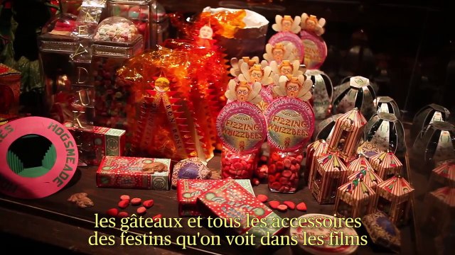 Visite guidée l'expo Harry Potter avec les jumeaux James et Oliver Phelps