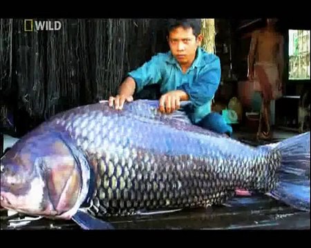 Canavar Balıklar: 3. Bölüm - Siyam Cenneti