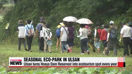 Ulsan turns Hoeya Dam Reservoir into ecotourism spot for a month every year