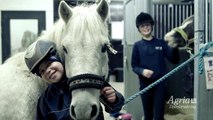 Agria Ponny - ny ponnyförsäkring med ponnyklubb