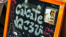 Cat Cafe in Ikebukuro, Tokyo (ねこカフェ　池袋　東京)