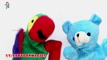Itsy Bitsy Spider Incy Wincy Spider - Funny Parrot and Panda puppets children rhymes