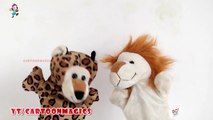 Itsy Bitsy Spider Incy Wincy Spider - Funny Tiger - Lion puppets children rhymes