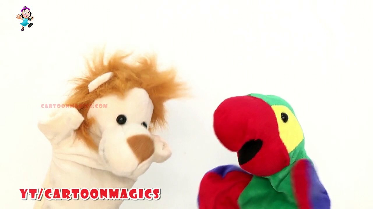 Itsy Bitsy Spider Incy Wincy Spider - Funny Lion and Parrot puppets children rhymes Kids Songs