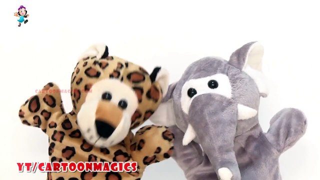 Itsy Bitsy Spider Incy Wincy Spider - Funny Tiger & Elephant puppets Songs English Kids