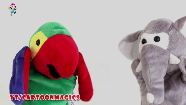 Itsy Bitsy Spider Incy Wincy Spider - Funny Parrot & Elephant puppets Kids rhymes