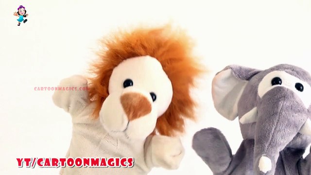 Itsy Bitsy Spider Incy Wincy Spider - Funny Lion and Elephant puppets children rhymes Learning English Kids Songs