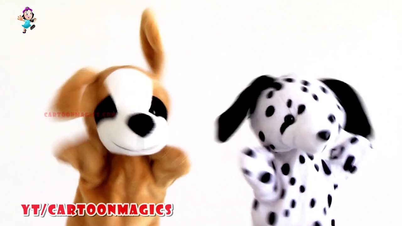 Itsy Bitsy Spider Incy Wincy Spider - Funny  Puppy Dog & Cute Dog puppets Kids Songs